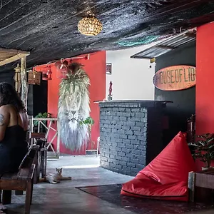 Pensión House Of Lion, Pantai Cenang (Langkawi)